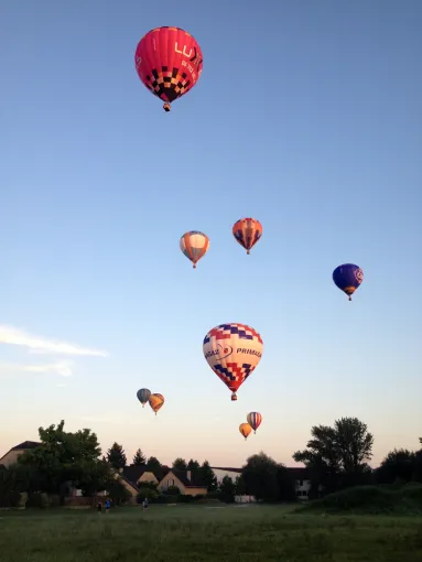 vol sur Pau 2015