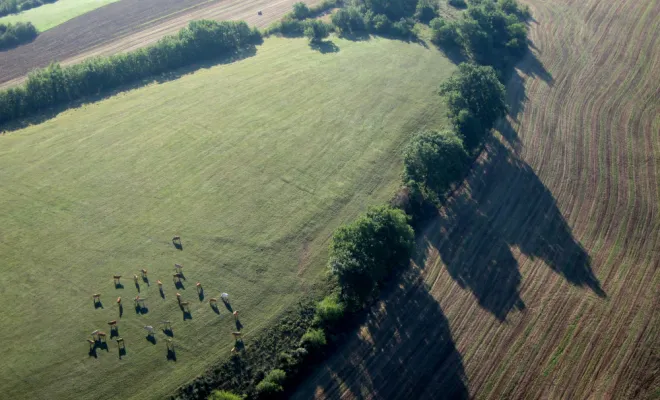 Sites de vol - La Tarn vu du Ciel, Albi, Lukkas Montgolfiere